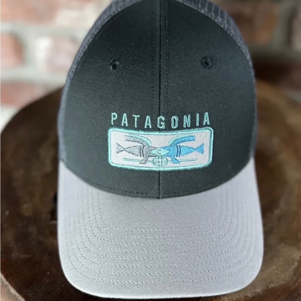 Patagonia -VGC RARE! “Shared Vision” Trucker Hat Fall 2016, MINT